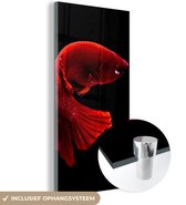 MuchoWow® Glasschilderij 80x160 cm - Schilderij acrylglas - Vis - Rood - Zwart - Foto op glas - Schilderijen