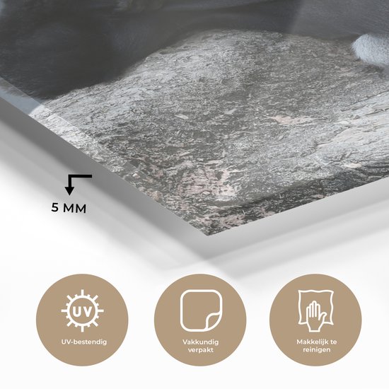 MuchoWow® Peinture sur verre 90x90 cm - Peinture sur verre acrylique - Un Gorilla se reposant sur une pierre - Photo sur verre - Peintures