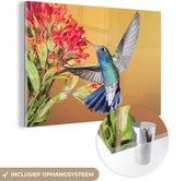 Colibri aux couleurs vives à côté d'une belle fleur rouge Plexiglas 120x80 cm - Tirage photo sur Glas (décoration murale en plexiglas)