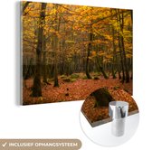 MuchoWow® Glasschilderij 60x40 cm - Schilderij acrylglas - De dichte bossen van het Nationaal park New Forest in Engeland - Foto op glas - Schilderijen