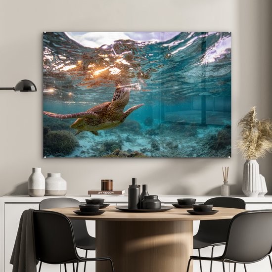 Peintures sur verre - Mer - Tortue - Couleurs - 120x80 cm - Peintures Plexiglas
