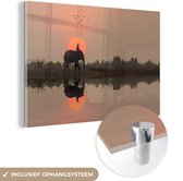 MuchoWow® Glasschilderij 60x40 cm - Schilderij acrylglas - Een olifant bij een rijstveld in Thailand tijdens een zonsondergang - Foto op glas - Schilderijen