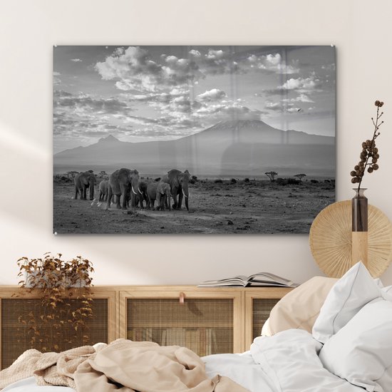 MuchoWow® Glasschilderij 120x80 cm - Schilderij acrylglas - Trekkende olifanten - zwart wit - Foto op glas - Schilderijen