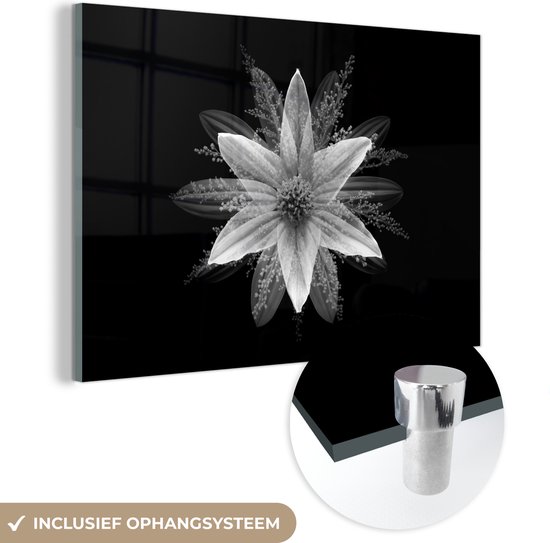 MuchoWow® Glasschilderij 30x20 cm - Schilderij acrylglas - Een bloem op de zwarte achtergrond - zwart wit - Foto op glas - Schilderijen