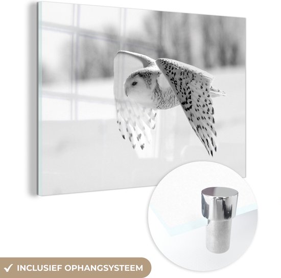 MuchoWow® Glasschilderij 60x40 cm - Schilderij acrylglas - Sneeuwuil vliegt over een winterlandschap - zwart wit - Foto op glas - Schilderijen