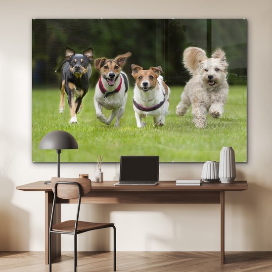 MuchoWow® Peinture sur verre 180x120 cm - Peinture sur verre acrylique - Un groupe de chiots courant à travers un champ - Photo sur verre - Peintures