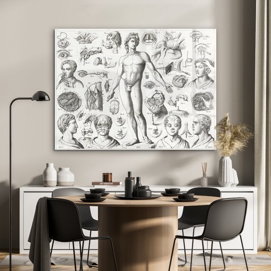 MuchoWow® Glasschilderij 120x90 cm - Schilderij acrylglas - Illustraties van verschillende chirurgische ingrepen - Foto op glas - Schilderijen