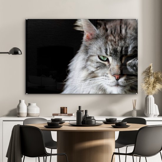 Portrait d'un chat Maine Coon de couleur grise en plexiglas 120x80 cm - Tirage photo sur Glas (décoration murale en plexiglas)