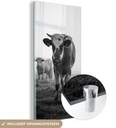 MuchoWow® Glasschilderij 60x120 cm - Schilderij acrylglas - Koeien in de ochtendmist zwart-wit foto - Foto op glas - Schilderijen