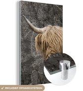 MuchoWow® Glasschilderij 40x60 cm - Schilderij acrylglas - Schotse hooglander - Koeien - Wereldkaart - Foto op glas - Schilderijen