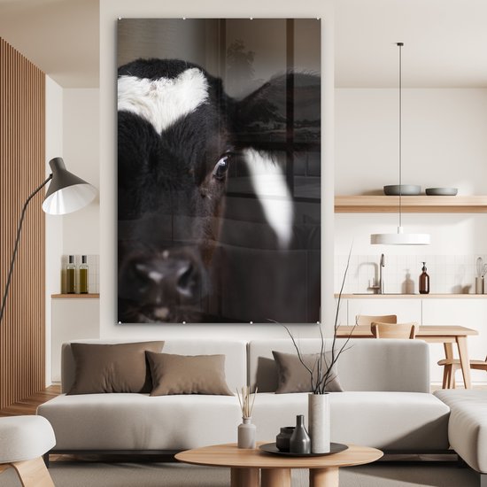 Veau vache frison nouveau-né Plexiglas 120x180 cm - Tirage photo sur Glas (décoration murale plexiglas) XXL / Groot format!