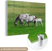 MuchoWow® Glasschilderij 30x20 cm - Schilderij acrylglas - Paarden - Dieren - Gras - Foto op glas - Schilderijen