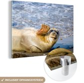 MuchoWow® Glasschilderij 120x80 cm - Schilderij acrylglas - Zeehond - Grappig - Zwaaien - Kinderen - Jongens - Meisjes - Kindje - Foto op glas - Schilderijen