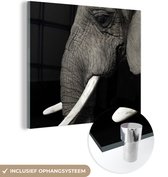 MuchoWow® Peinture sur verre - Éléphant - Animal - Défense - 20x20 cm - Peintures sur verre acrylique - Photo sur Glas