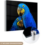 MuchoWow® Glasschilderij 40x30 cm - Schilderij acrylglas - Papegaai - Vogel - Veren - Blauw - Foto op glas - Schilderijen