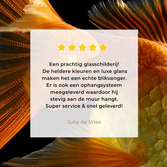 MuchoWow® Peinture sur verre - Poisson rouge - Animaux - Zwart - 30x20 cm - Peintures sur verre acrylique - Photo sur Glas