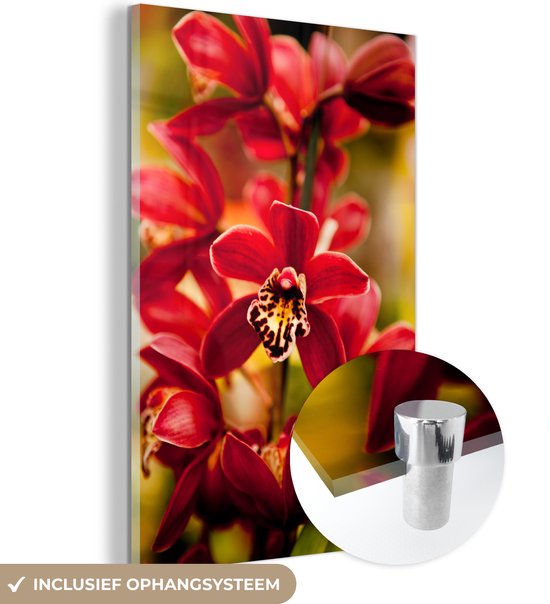 MuchoWow® Glasschilderij 80x120 cm - Schilderij acrylglas - Rode orchideeën bij een vervaagde achtergrond - Foto op glas - Schilderijen