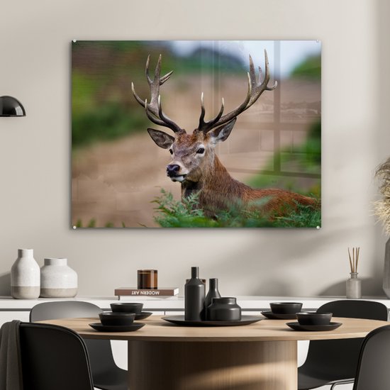 Peinture sur Verre - Cerf - Fougères - Nature - 80x60 cm - Peintures sur Verre Peintures - Photo sur Glas
