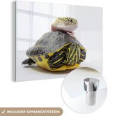 MuchoWow® Glasschilderij 120x80 cm - Schilderij acrylglas - Gekko op een schildpad - Foto op glas - Schilderijen