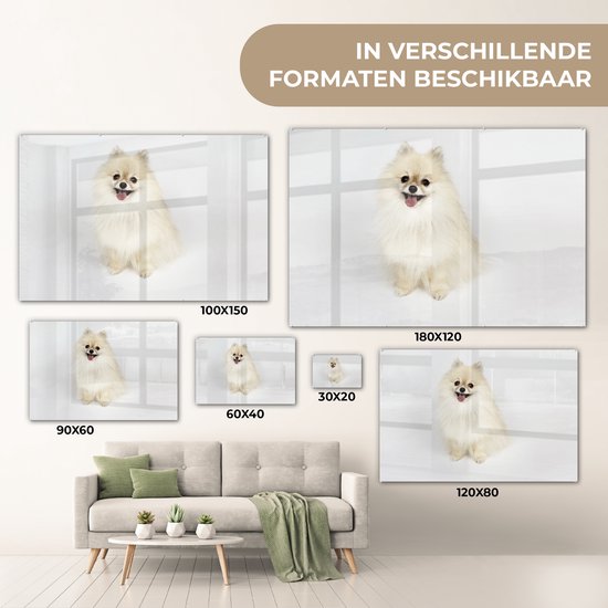 MuchoWow® Peinture sur verre 90x60 cm - Peinture acrylique sur verre - Poméranien joyeux - Photo sur verre - Peintures