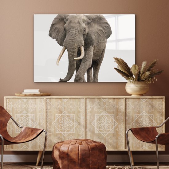 MuchoWow® Peinture sur Verre - Éléphant - Enfants - Garçons - Animaux - Filles - 90x60 cm - Peintures sur Verre Acrylique - Photo sur Glas