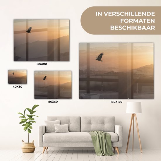 MuchoWow® Peinture sur verre 160x120 cm - Peinture sur verre acrylique - Pygargue à queue blanche - Voler - Nature - Soleil - Lumière - Vogels - Photo sur verre - Peintures