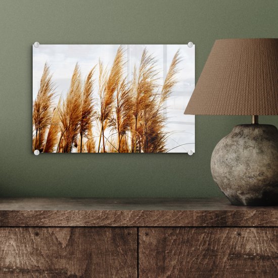 MuchoWow® Peinture sur verre 30x20 cm - Peinture acrylique sur verre - Herbe de la pampa - Soleil - Herbe - Photo sur verre - Peintures