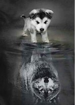 Puppy met wolf spiegelbeeld - Diamond Painting 30x40 (Volledige bedekking - Vierkante steentjes)