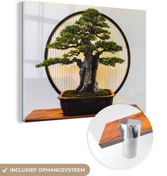 MuchoWow® Peinture sur verre - Petit bonsaï - 160x120 cm - Peintures sur verre acrylique - Photo sur Glas
