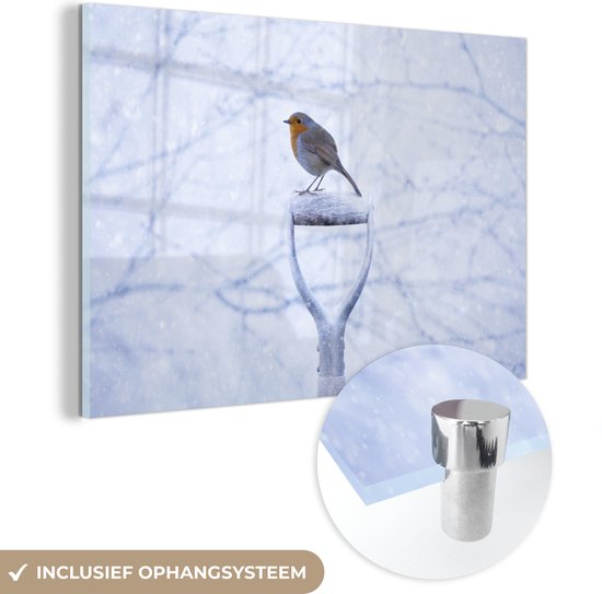 Robin sur une pelle enneigée Plexiglas 180x120 cm - Tirage photo sur Glas (Décoration murale plexiglas) XXL / Groot format!
