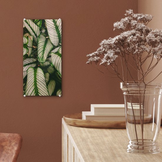 MuchoWow® Peinture sur verre 20x40 cm - Peinture acrylique sur verre - Feuilles - Plante - Vert - Photo sur verre - Peintures