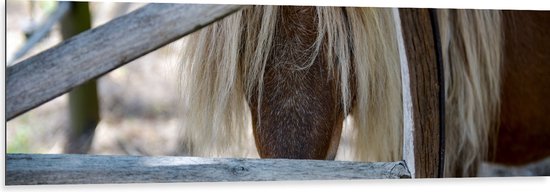 Dibond - Neus van Pony door Speilen van Hek - 150x50 cm Foto op Aluminium (Met Ophangsysteem)