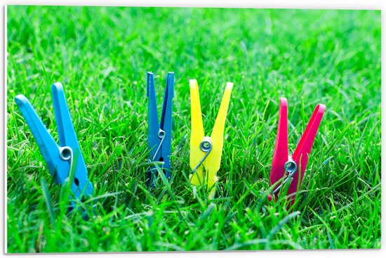PVC Schuimplaat - Gekleurde Wasknijpers in het Gras - 60x40 cm Foto op PVC Schuimplaat (Met Ophangsysteem)