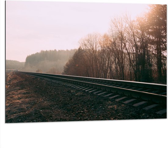 Dibond - Treinspoor langs Bossen - 100x75 cm Foto op Aluminium (Met Ophangsysteem)