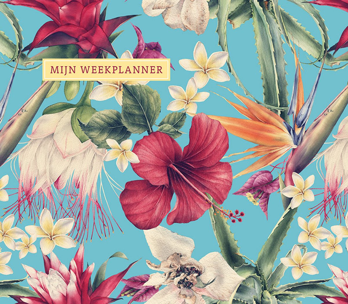 Mijn weekplanner