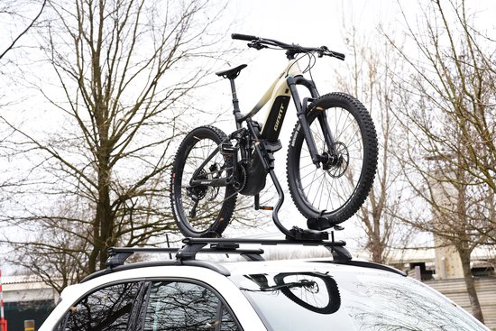 Farad Pesio - Fietsendrager - Dak - 1 fiets - Laadvermogen 25kg - Zwart — afbeelding 3