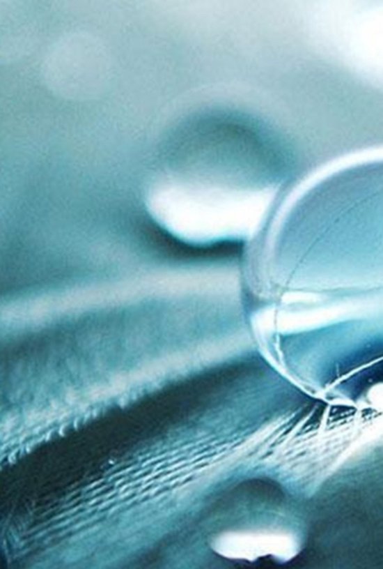 Cápsula Del Tiempo - cover