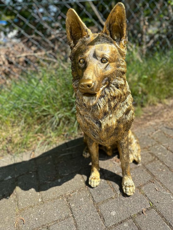 Goodyz- Huisdieren - Honden - Herder - Herders hond- Duitse herder - super leuk beeld - zittend - 70cm hoog -Brons