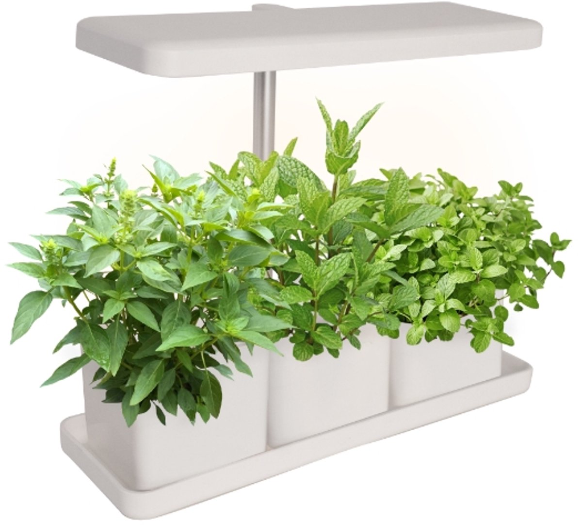 Kweekstation LED Groeilamp - Hydrocultuur & Hydroponic Systeem Binnen - Timer - Verstelbare Lamp - Kruiden & Groenten - SPR