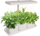 Plantengroeier - Groeilamp - Kweeklamp binnen - Kweekbak - Moestuin - Grow light - Grow lamp - kruiden - 3 planten