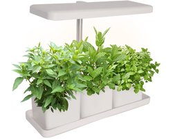 Plantengroeier - Groeilamp - Kweeklamp binnen - LED Kweekbak - Moestuin - Grow light - Grow lamp - kruiden - 3 planten