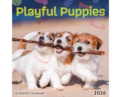 Playful Puppies Mini Kalender 2026