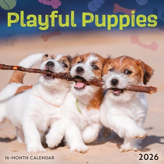 Playful Puppies Mini Kalender 2026
