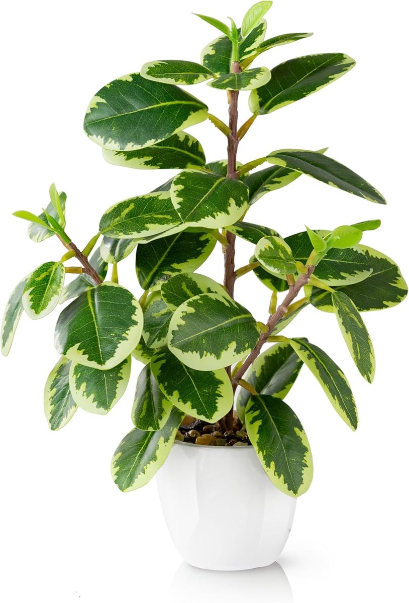 Ibenzoa Realistische Kunstbloem Camellia in Witte Keramische Pot - 29 cm groen