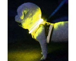 Foto: 