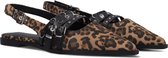 Chaussures pour femmes Femme STEFANO LAURAN D241192129 - Camel - Pointure 39