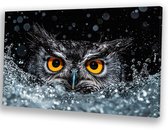 Uil met intense oranje ogen - Uil schilderijen canvas - Wandkunst water - Hyperrealisme - Moderne schilderijen - Woonkamer decoratie - canvas 45x30 cm
