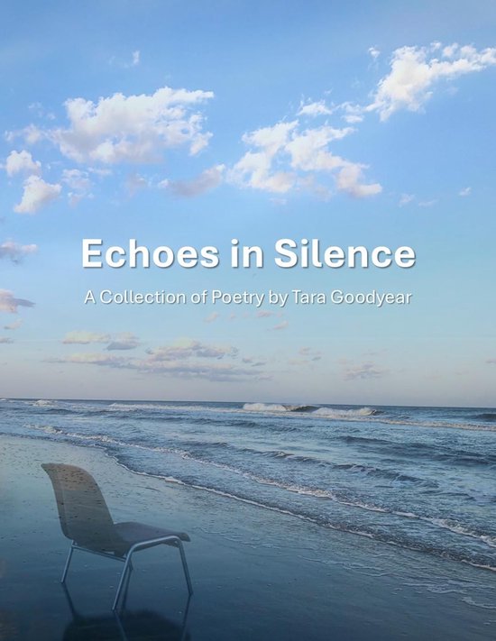 Echoes in Silence - cover
