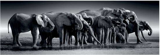 Clementoni - Puzzel - 1000 Stukjes - Herd of Giants - Puzzel Voor Volwassenen - High Quality Collection
