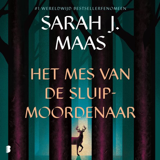 Het mes van de sluipmoordenaar - cover